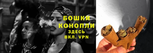 крисы Белокуриха